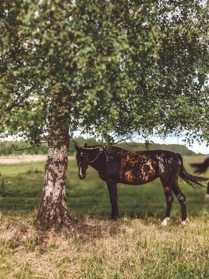 Stamerienas Apartamenti Esterno foto